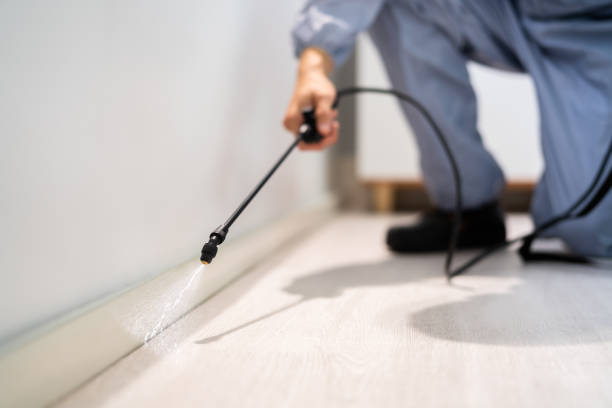 Certified termite inspector examining foundation in West Athens